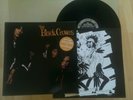 THE BLACK CROWES: SHAKE YOUR MONEY MAKER. 12