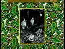 THE LEAVES HEY JOE RARE US ORIGINAL 1966 LP MIRA MONO 1ST PRESS