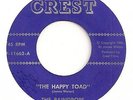 RAINDROPS 45 THE HAPPY TOAD B/W TWENTY 'TIL RARE GARAGE SURF INSTRO 1961 HEAR