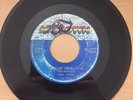 Linda Griner - Goodbye Cruel Love - Motown