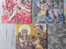 BARONESS record set RED,BLUE,YELLOW and GREEN 3 album lot.great condition vinyl