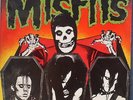 Rare Misfits - Original LP Evilive - Translucent Vinyl - NM- 