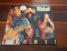 LP Record The Hard Ons 