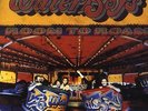 THE WATERBOYS Room To Roam 180gm Vinyl LP Remastered + Download NEW SEALED