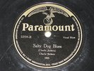 Salty dog blues /  Salt Lake City blues   