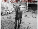 MARGOT & THE NUCLEAR SO SO'S Rot Gut,Domestic LP 12