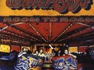 Room To Roam by The Waterboys (Format: Vinyl) New Free Shipping....