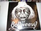 BOLLWEEVIL/ROCK SOLID /ELLIE JAY RECORDS/ 7