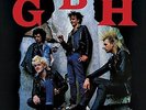 No Survivors [VINYL] G.b.h Vinyl