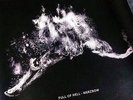 FULL OF HELL/MERZBOW 12
