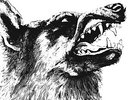I, Vigilante - CRIPPLED BLACK PHOENIX [2x LP]
