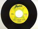 The Chevrons - Hey Little Teaser ? RARE 1966 MICHIGAN GARAGE FENTON 2092 EX
