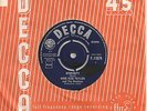 KING SIZE TAYLOR AND THE DOMINOS - STUPIDITY