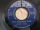 ELMORE JAMES 