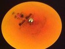 Unreleased Shy FX 10'' Dubplate - Bambaata VIP