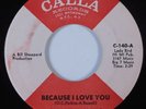 Northern Soul 45 SHIRLEY WAHLS Because I Love You CALLA VG++ HEAR