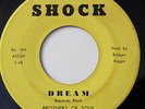 BROTHERS OF SOUL-DREAM /CANDY-NORTHERN 45 on SHOCK  Strong VG+