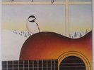 STEVE MULLANEY: Chickadee PRIVATE Vermont Folk SEALED rooster VINYL LP