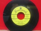 ADAMS APPLES-YOU ARE THE ONE I LOVE (PROMO HIT, BRUNSWICK, 45RPM, 7