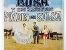 Bush Y Sus Magnificos 