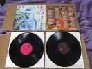 RED HOT CHILI PEPPERS By The Way 2x LP & INSERT RARE 2002 ORIGINAL 1ST PRESSING