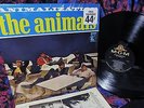 TOPS 1966 MONO Orig THE ANIMALS   ANIMALIZATION Beat Garage FUZZ PUNK RAVE UP