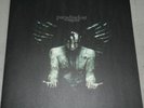 Paradise Lost - Requiem Lp