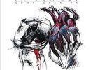In Flames - Come Clarity LP #88879