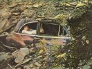 Jimmy Buffett Down To Earth US ORIGINAL Barnaby Vinyl LP