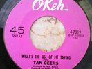 (Rare) Northern Soul - TAN GEERS - Let My Heart And Soul Be Free 45 OKEH 4-7319