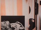 XYMOX Subsequent Pleasures 12