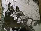 Window pvt press Texas femme Xian acid psych Folk 1974 LP w/ insert holy grail