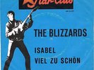 BLIZZARDS 