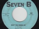 Northern Soul 45 - Eddie Bo - What You Gonna Do - Seven B - mp3