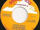 RARE Northern Soul - DICKIE WONDER - Nobody Knows - US SOUNDS OF SOUL PROMO EX+