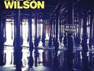 Brian Wilson - No Pier Pressure / Double LP Vinyl New