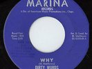 DIRTY WURDS -WHY/TAKIN' MY BLUES AWAY-MONSTER GARAGE MARINA 45 HEAR IT LISTEN