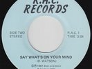 Modern Soul 45 - D. Watson - Say What's On Your Mind - R.A.C. - VG++ mp3 - rare