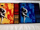 GUNS N ROSES - USE YOUR ILLUSION I + II   2 X 12