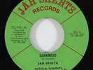 Jah Skerta & Natural Elements 