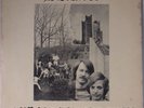 DRNWYN: Gipsies in the Mist PRIVATE Rural Ohio PSYCH Vinyl LP ACID SUPER