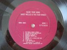 DAVEY WELLES & THE FOUR WINDS Blow Your Mind PRIVATE LP Canada Garage Psych RARE