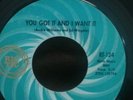 Northern Soul 45RPM Andre Williams You Got It And I Want It.