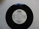LOU ROBERTS & GRP 45 My promise to you / Rattlesnake GENIE(Promo) Doowop w3543