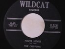CHIFFONS: Never Never / No More Tomorrows 45 (tiny lbl tear...clean) Vocal Gro