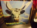 Inspiral Carpets She Comes vinyl 12 Inch 1990 Mute Records VG+