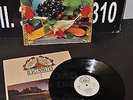 LP 33 LIGABUE LAMBRUSCO COLTELLI ROSE & POP CORN INSERTO BOOKLETI 1991 WEA ITALY