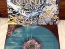 Pig Destroyer Phantom Limb Vinyl Record LP Nasum Phobia Nausea Converge Wormrot