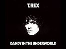 T. REX Dandy In The Underworld VINYL LP Record Brand New