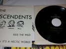 Descendents Ride the Wild Hectic World